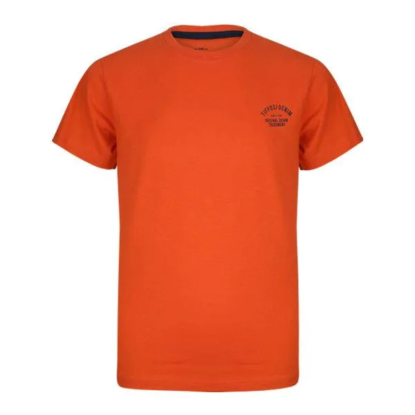 2 PIECE BOYS ORANGE AND NAVY BLUE T-SHIRT