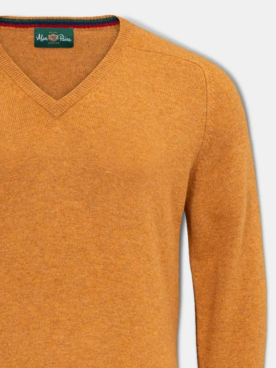 ALAN PAINE Streetly Men's V Neck Lambswool Jumper - Gazelle