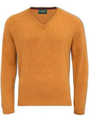 ALAN PAINE Streetly Men's V Neck Lambswool Jumper - Gazelle