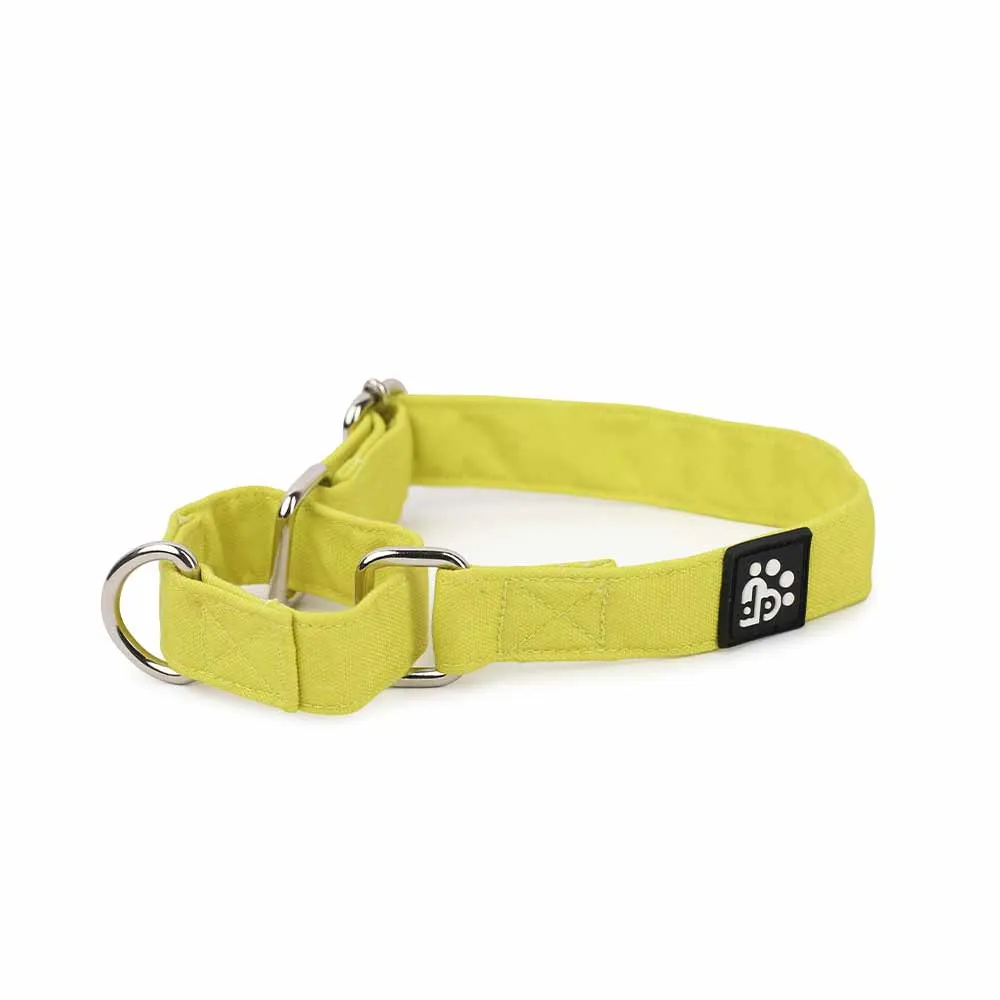 Dear Pet Classic Martingale Lime Dog Collar