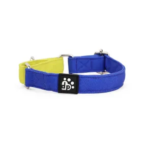 Dear Pet Double Trouble Martingale Blue & Lime Dog Collar