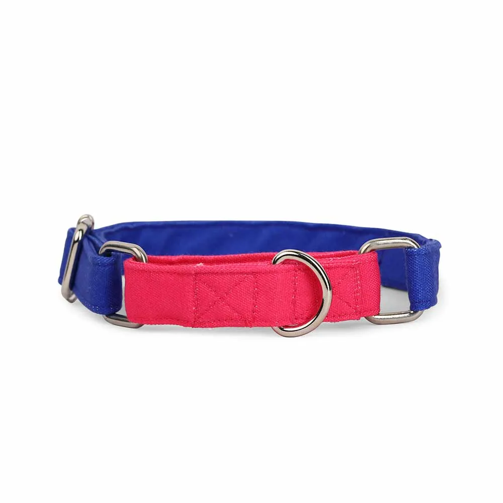 Dear Pet Double Trouble Martingale Blue & Pink Dog Collar