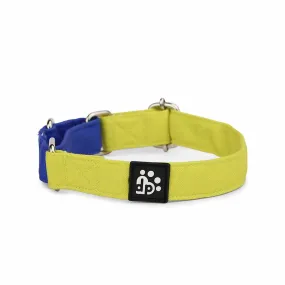 Dear Pet Double Trouble Martingale Lime & Blue Dog Collar