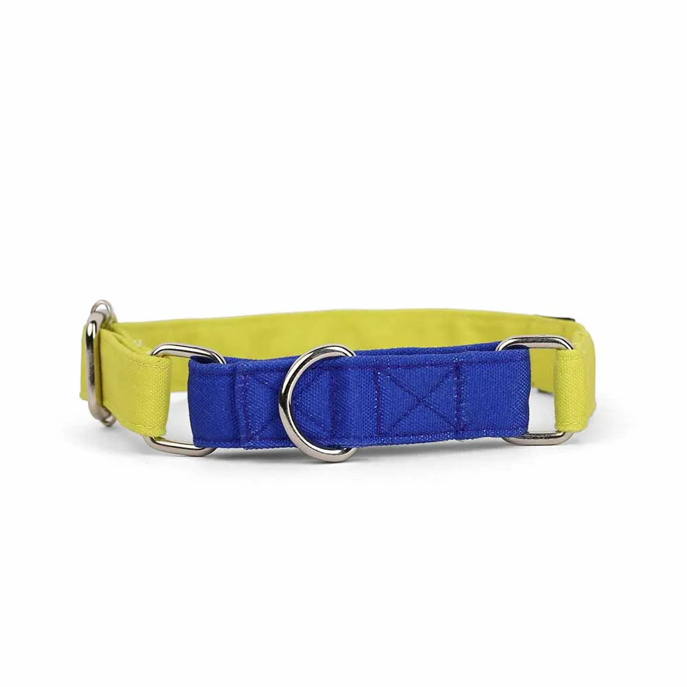 Dear Pet Double Trouble Martingale Lime & Blue Dog Collar