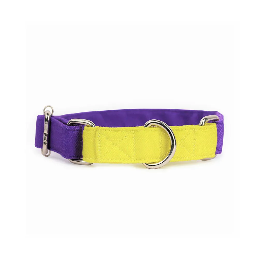 Dear Pet Double Trouble Martingale Purple & Lime Dog Collar