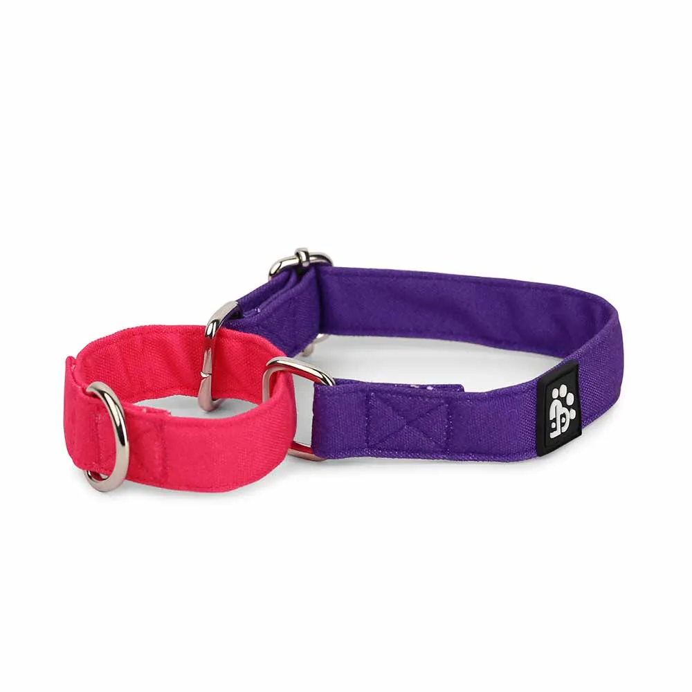 Dear Pet Double Trouble Martingale Purple & Pink Dog Collar