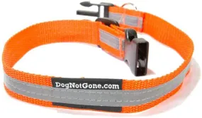 Dog Not Gone Reflective Collar Medium 19"