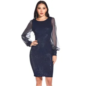 Long Sleeve Bodycon Sequin Dress for Women